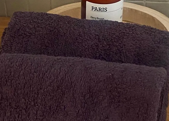 Fabulous Big With Balcon Arc Of Triumph 홈스테이